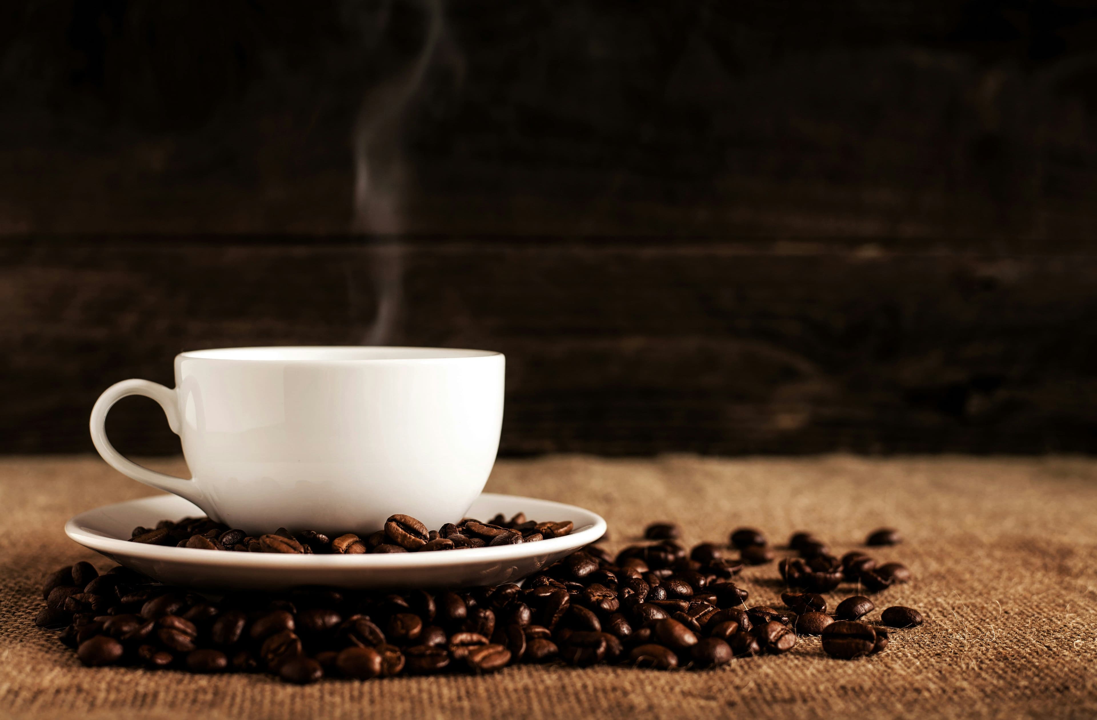 Investment Memo for a PE-Backed Commercial Coffee Roaster Manufacturer